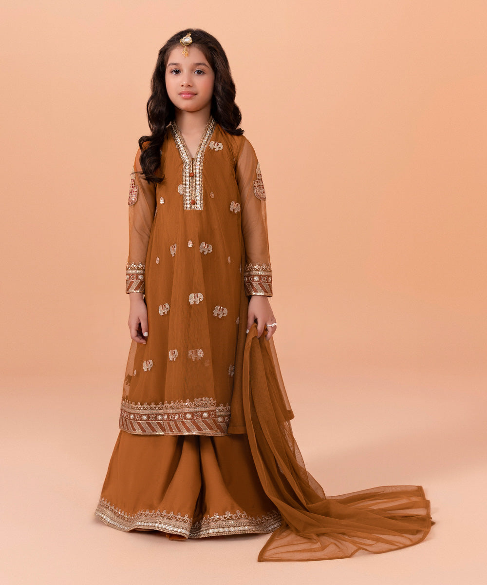 Girls Dyed Rust 3 PC Embroidered Poly Net Suit