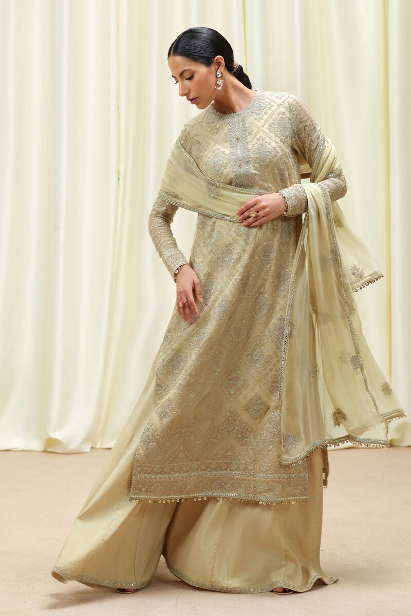 3 Piece - Embroidered Chiffon Suit