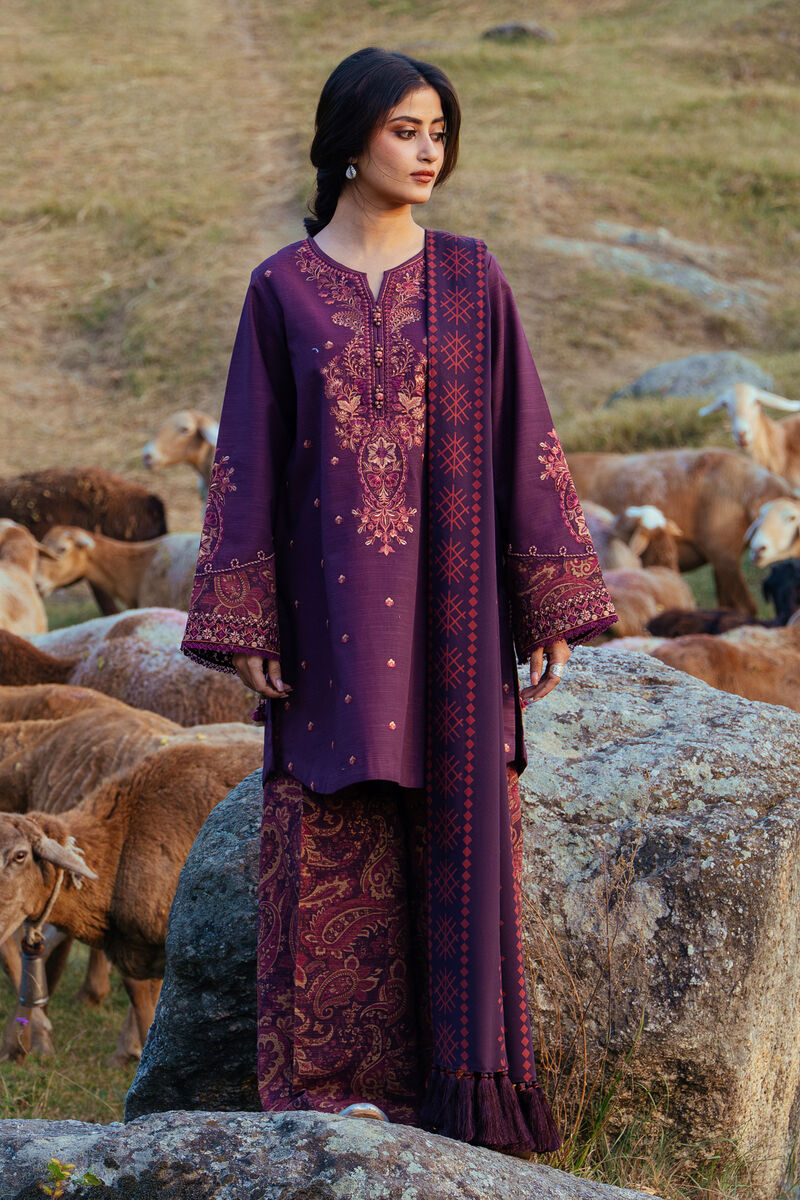 3 Piece - Embroidered Khaddar Suit