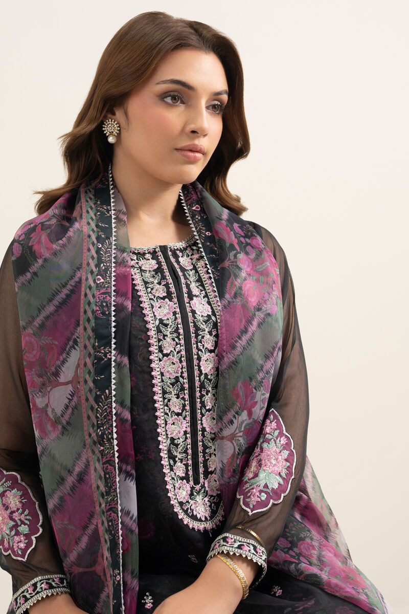 3 Piece - Embroidered Organza Suit