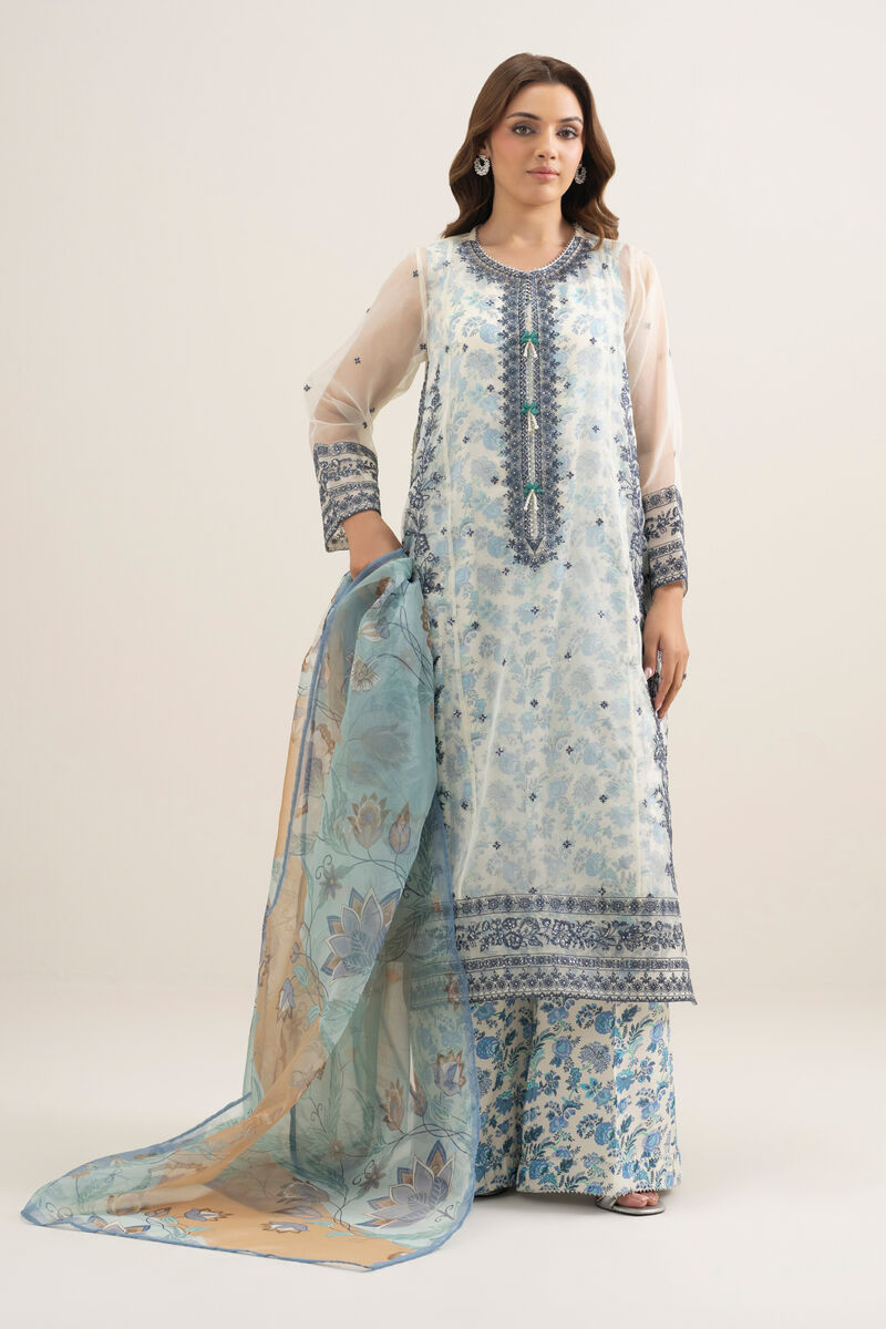 3 Piece - Embroidered Organza Suit