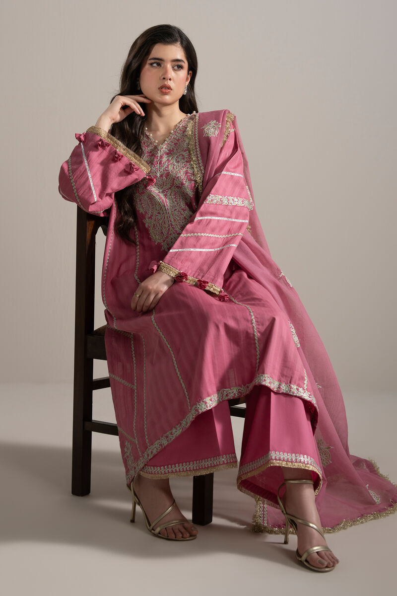 3 Piece - Embroidered Leno Kara Suit