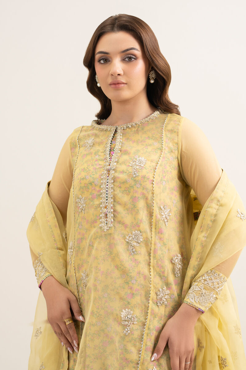 3 Piece - Embroidered Organza Suit