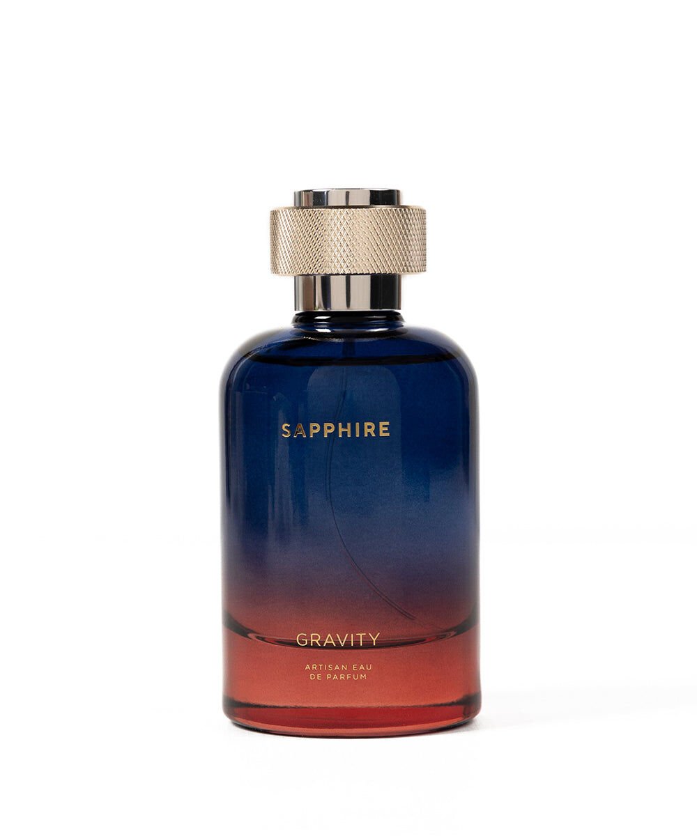 Gravity Gravity 100 ml Men's Perfume