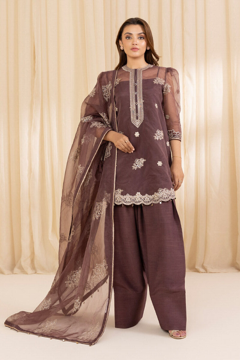 3 Piece - Embroidered Organza Suit