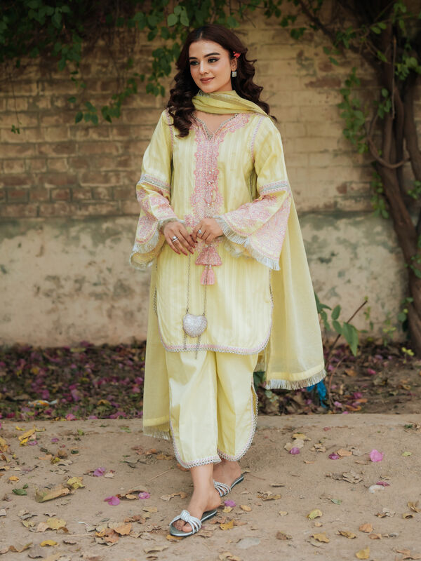 3 Piece - Embroidered Leno Kara Suit