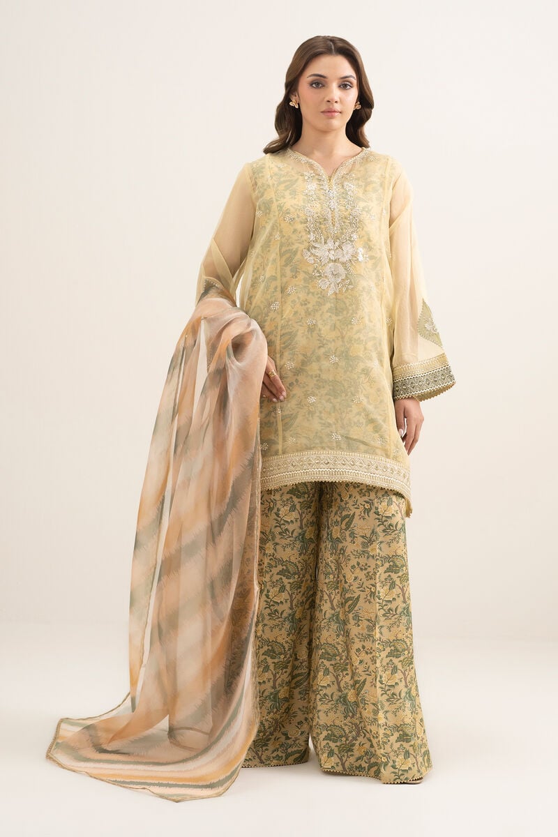 3 Piece - Embroidered Organza Suit