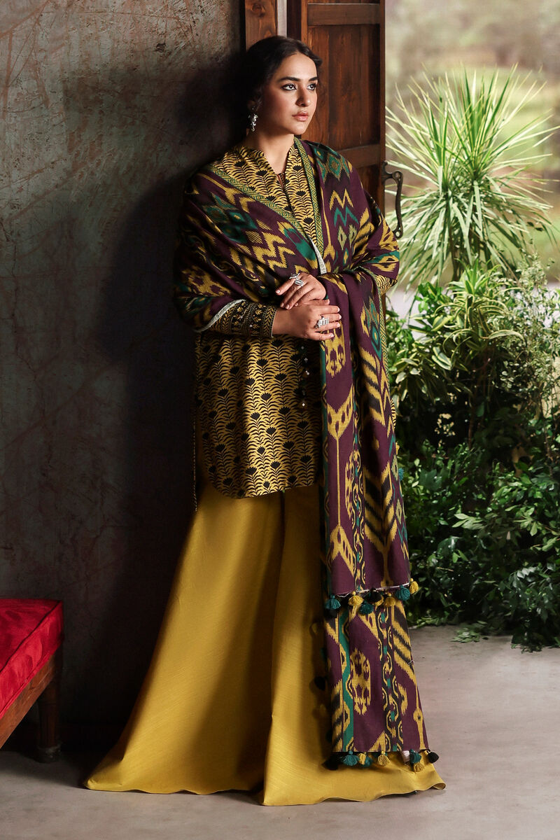 3 Piece - Printed Khaddar Suit