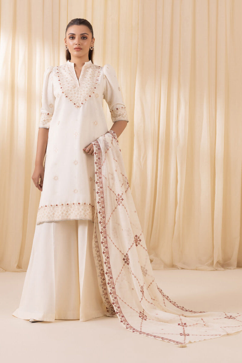 3 Piece - Embroidered Karandi Suit