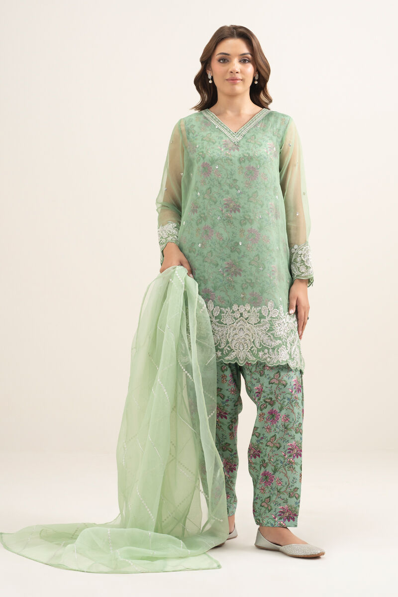 3 Piece - Embroidered Organza Suit