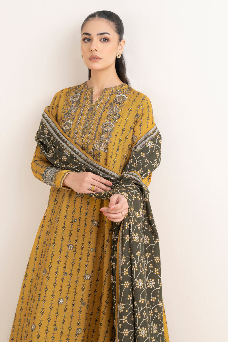 3 Piece - Embroidered Khaddar Suit