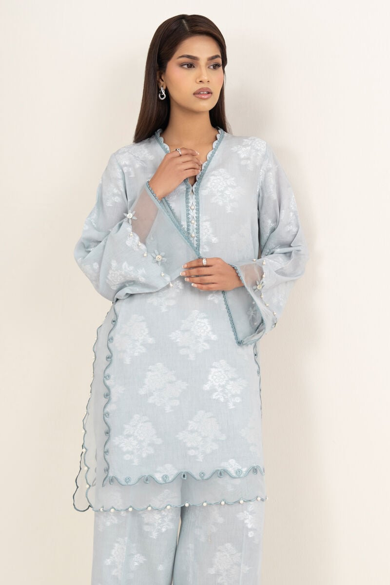 2 Piece - Embroidered Zari Jacquard Suit