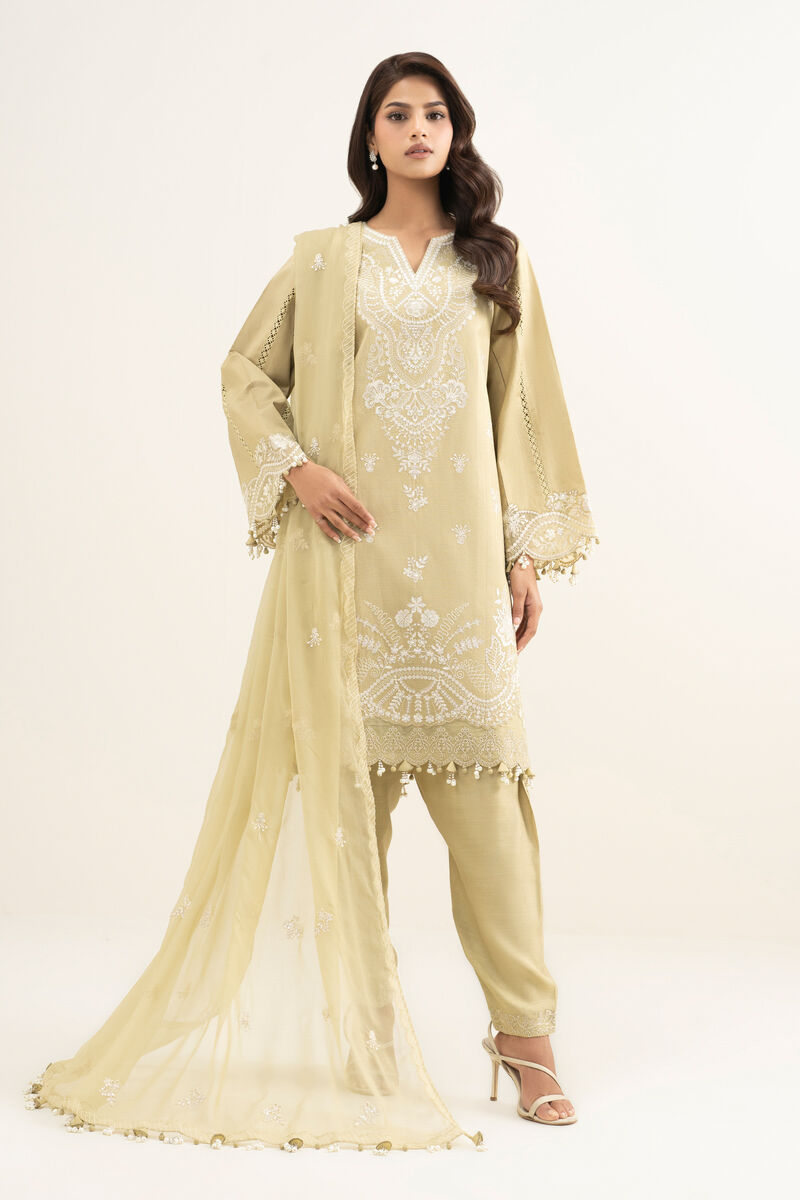 3 Piece - Embroidered Cotton Net Suit