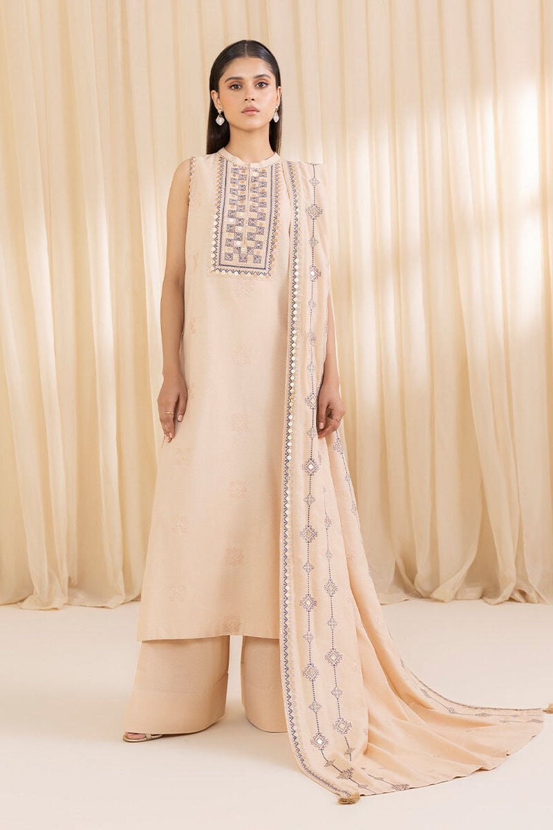3 Piece - Embroidered Karandi Suit