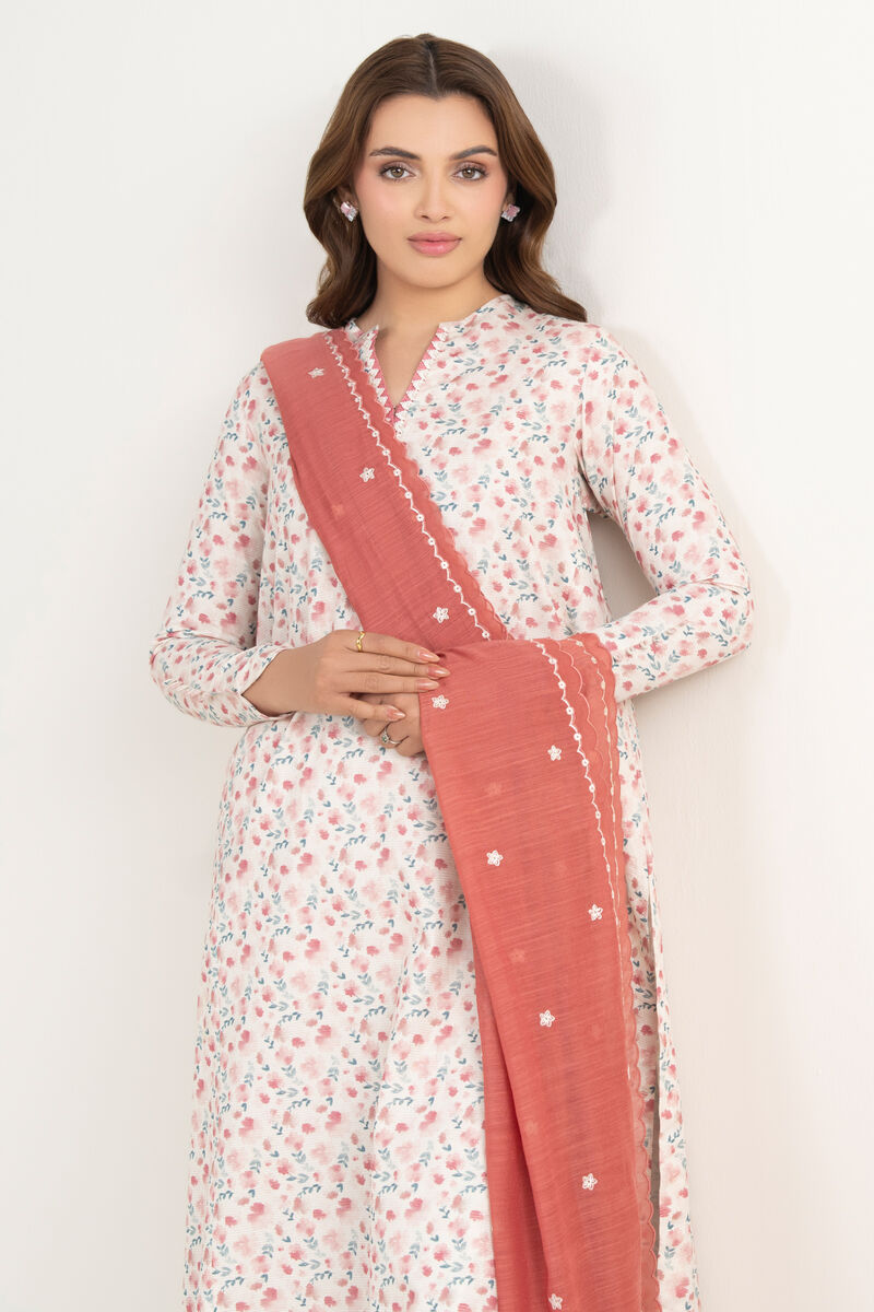 3 Piece - Embroidered Zari Lawn Suit
