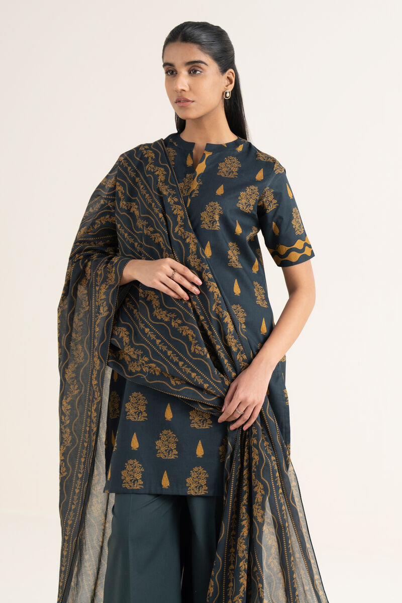 2 Piece - Printed Lawn Suit