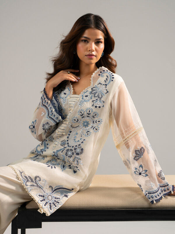 2 Piece - Embroidered Organza Suit
