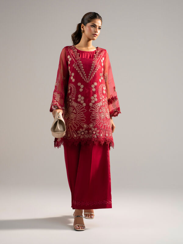2 Piece - Embroidered Organza Suit