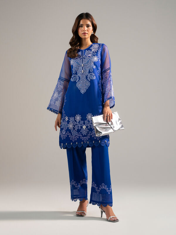 2 Piece - Embroidered Organza Suit