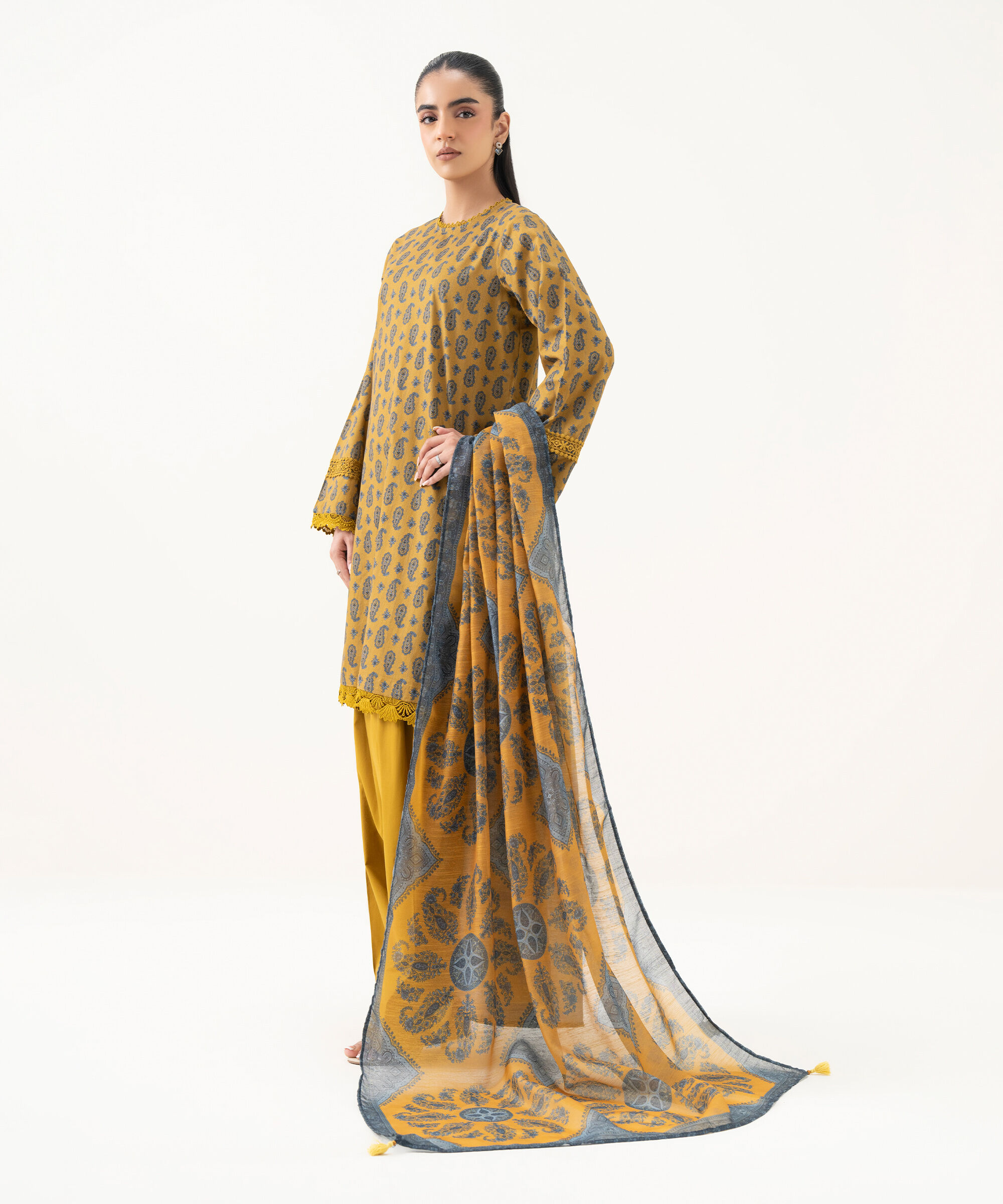 Printed Dupatta 3PEMBW25V24D