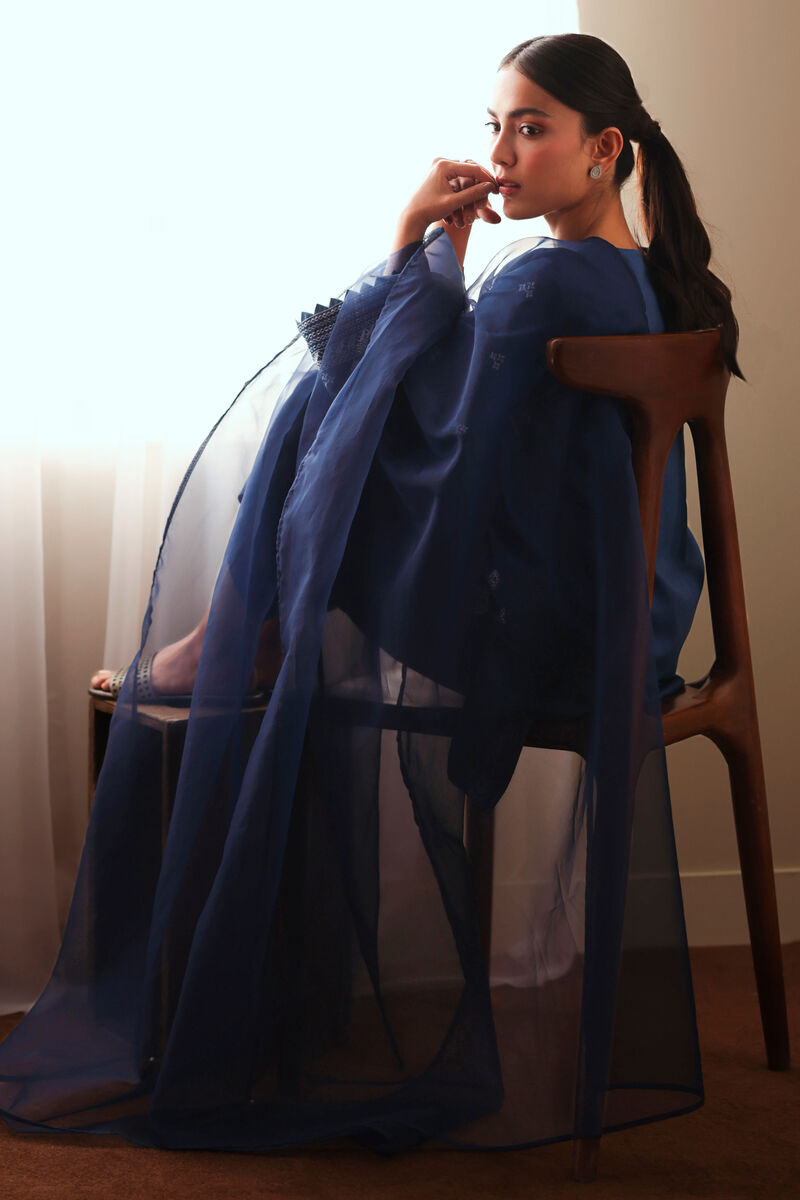 Blended Organza Dupatta