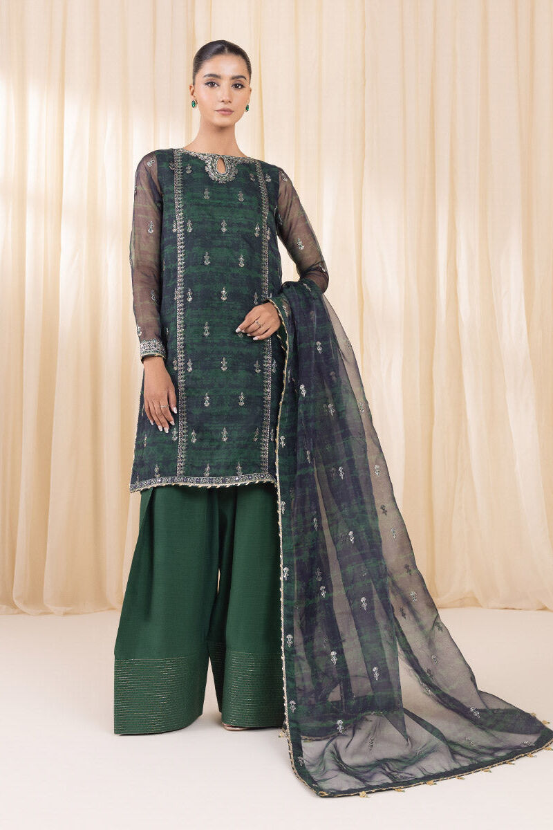 3 Piece - Embroidered Organza Suit