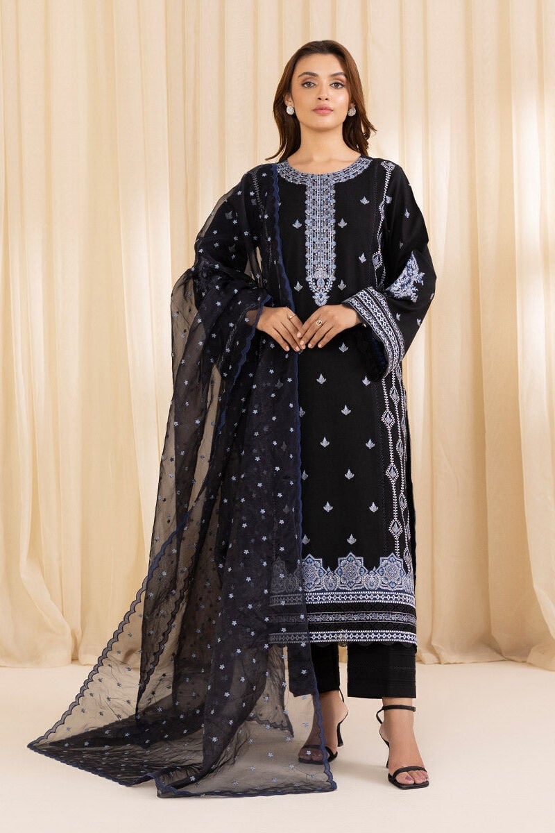3 Piece - Embroidered Karandi Suit