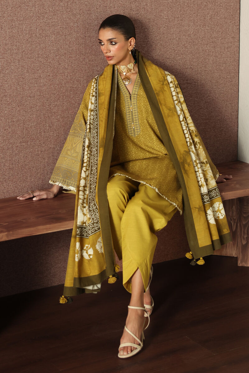 3 Piece - Printed Light Khaddar Suit