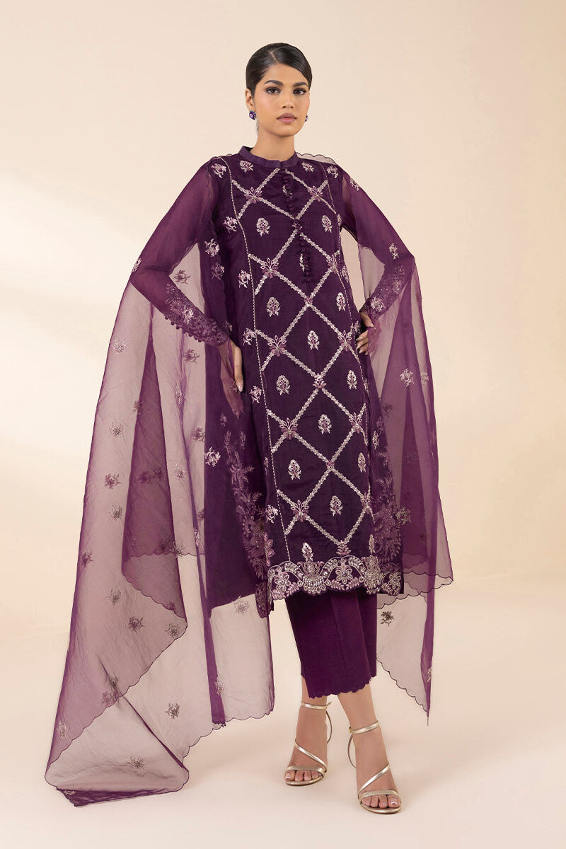 3 Piece - Embroidered Organza Suit