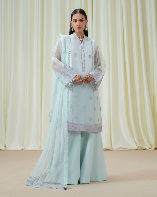 3 Piece - Embroidered Organza Suit