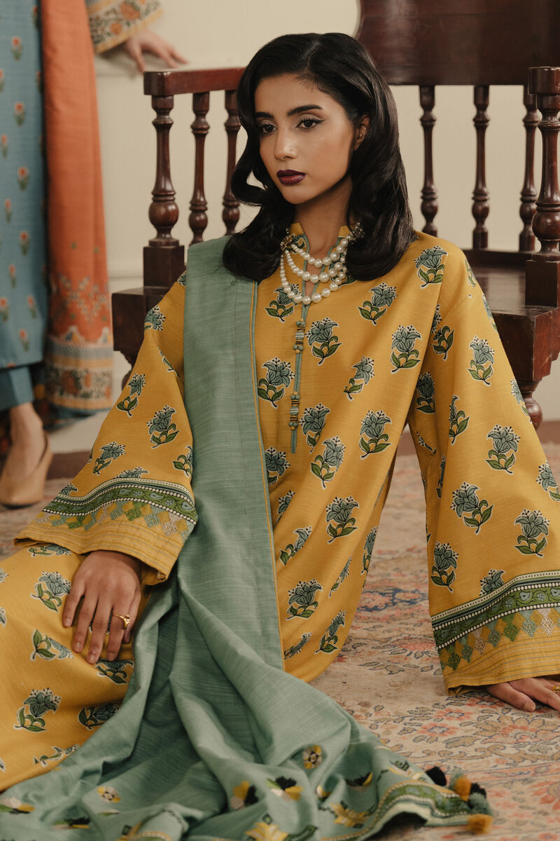 3 Piece - Printed Khaddar Suit