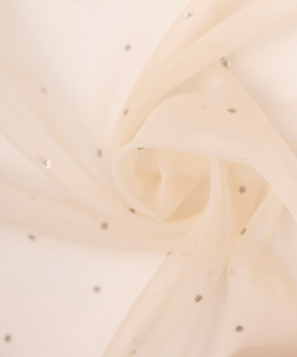 Blended Organza Beige Embroidered Dupatta