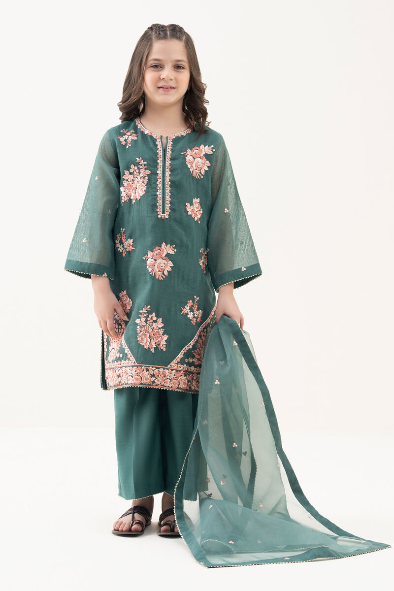 3 Piece - Embroidered Karandi Suit