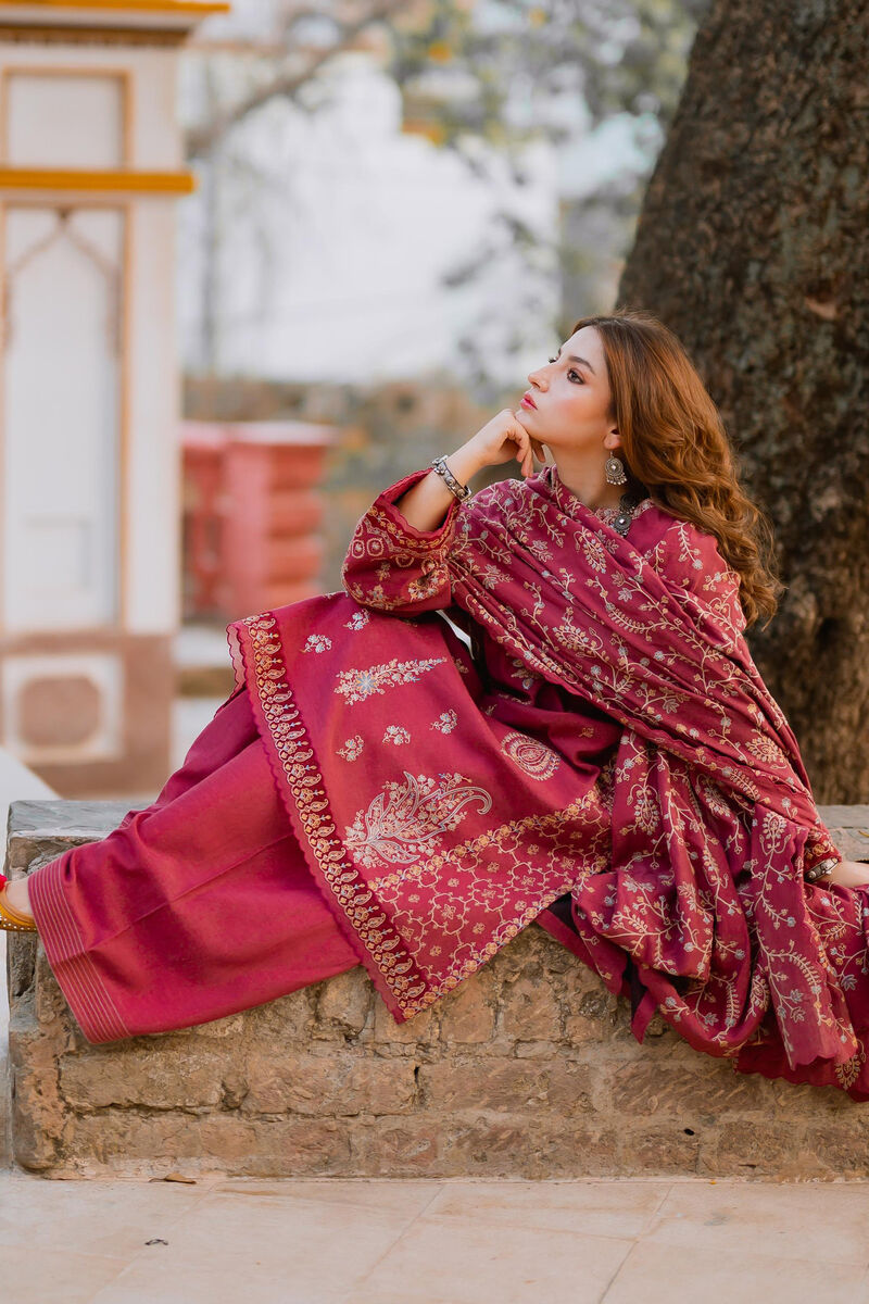 3 Piece - Embroidered Karandi Suit