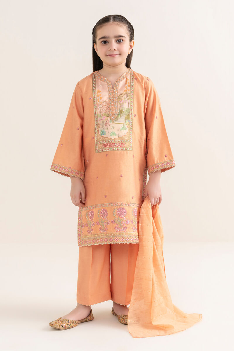 3 Piece - Embroidered Cotton Net Suit