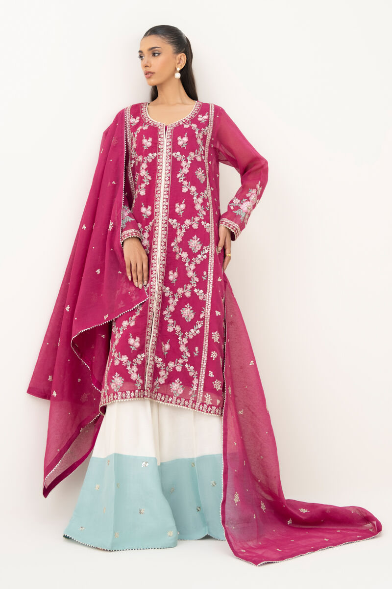 3 Piece - Embroidered Karandi Suit