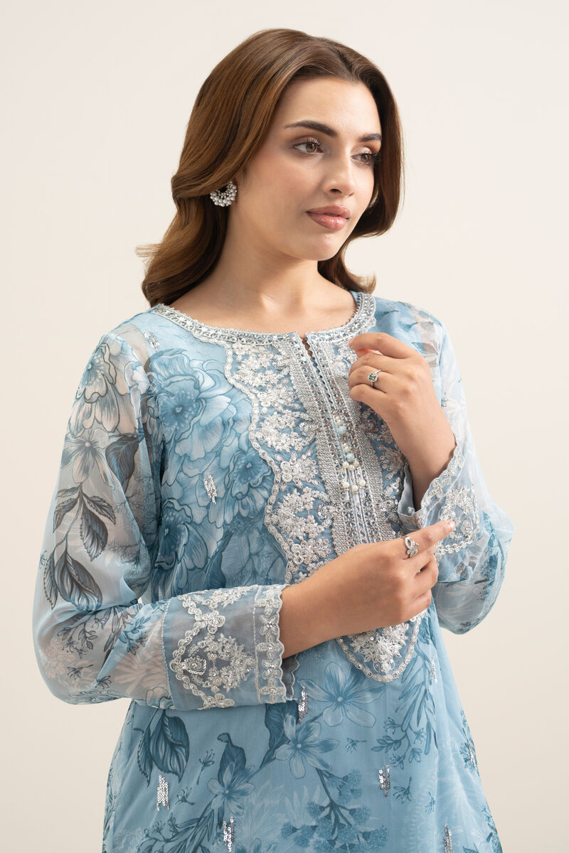2 Piece - Embroidered Chiffon Suit