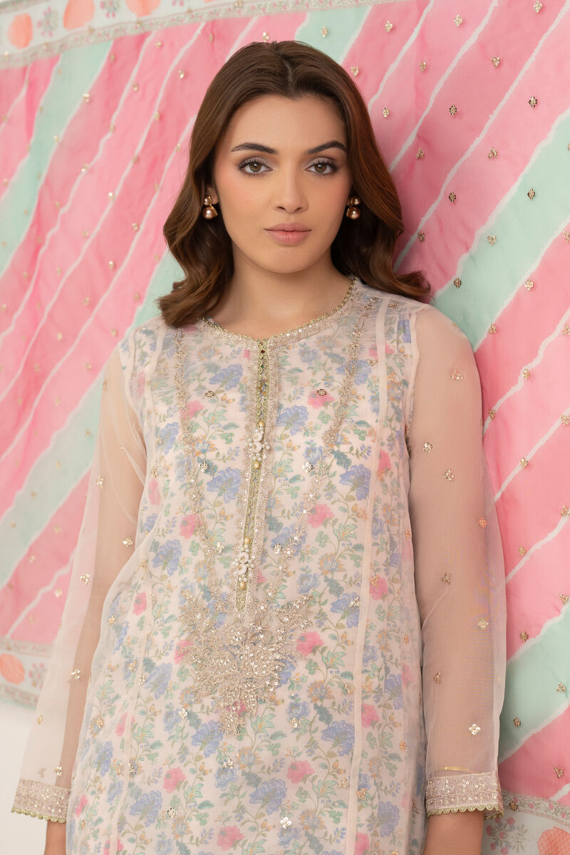 3 Piece - Embroidered Organza Suit