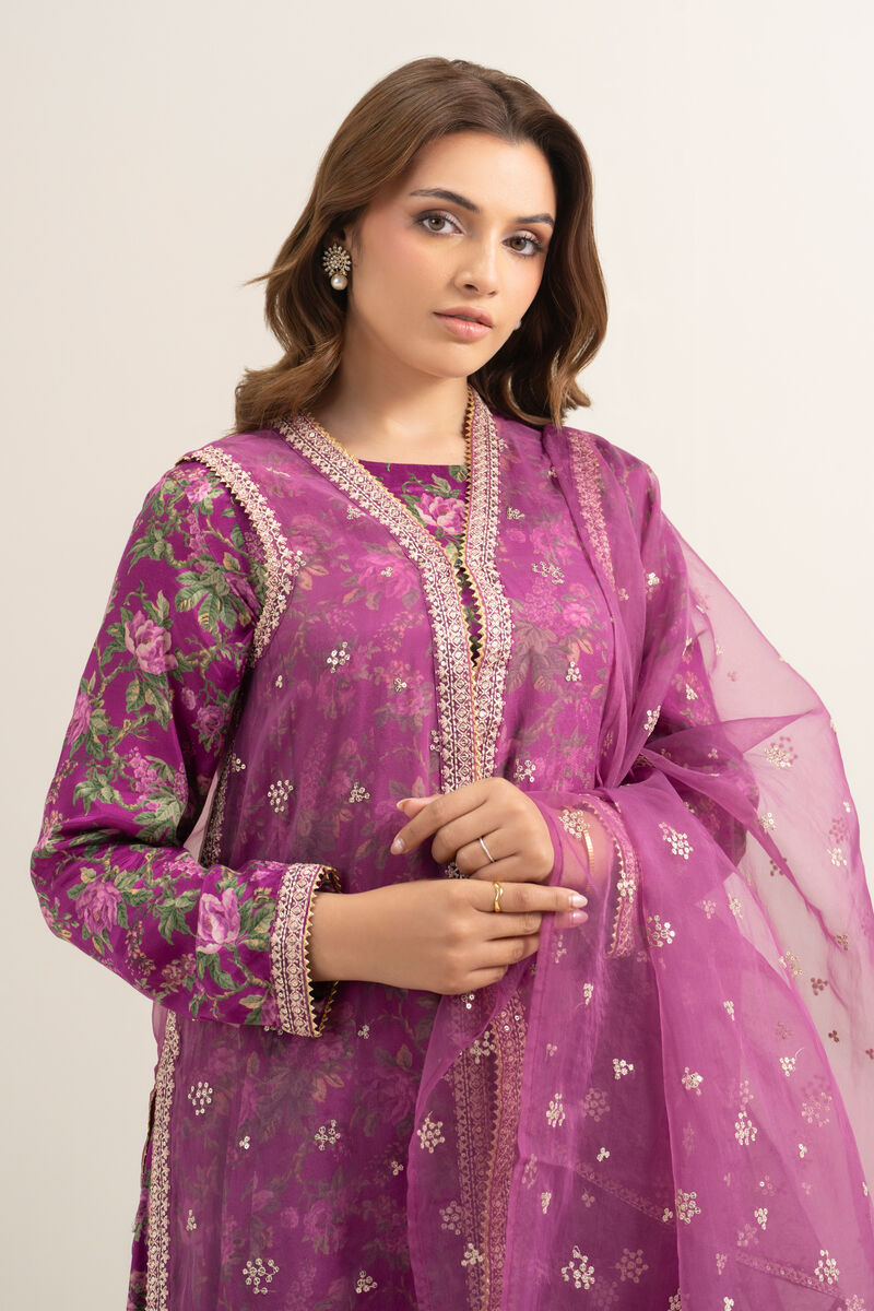 3 Piece - Embroidered Organza Suit