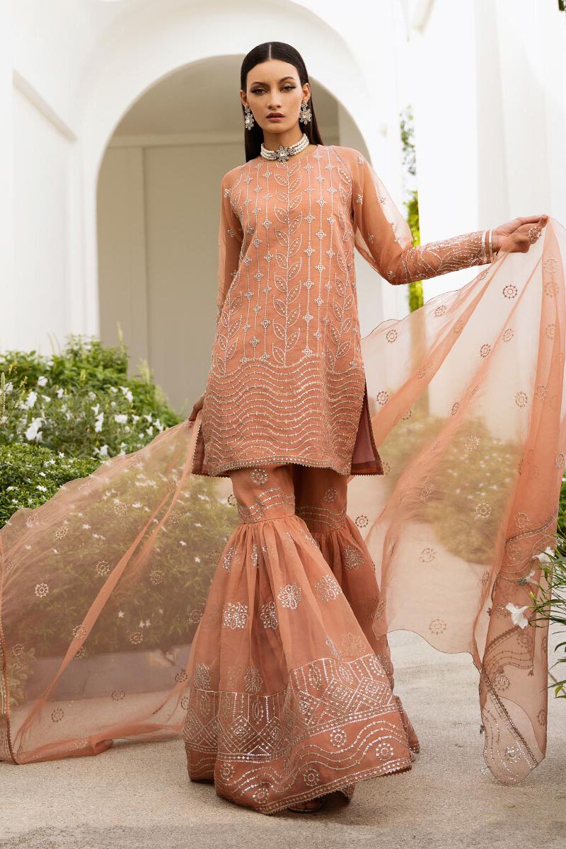 3 Piece -  Embroidered Organza Suit
