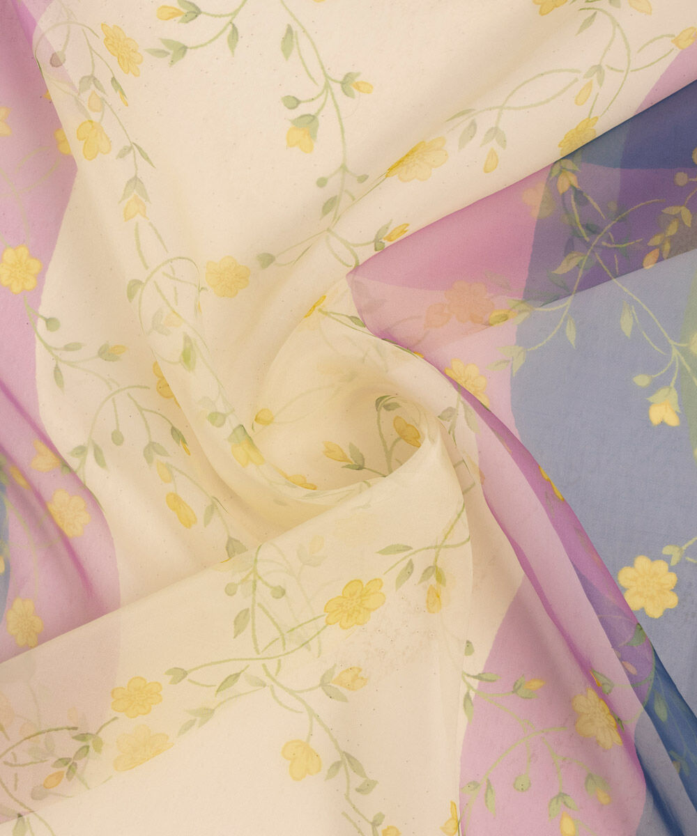 Woman - Multi Printed Organza Dupatta