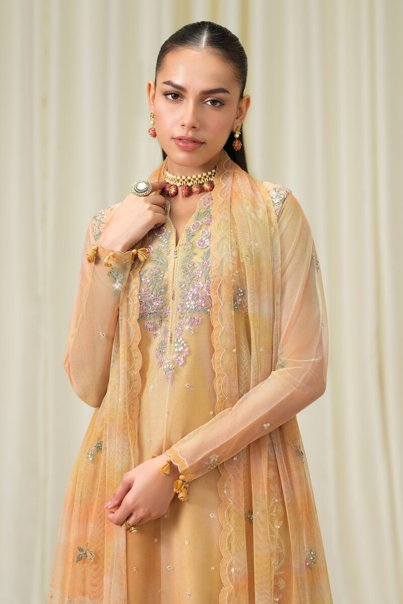 3 Piece - Embroidered Net Suit